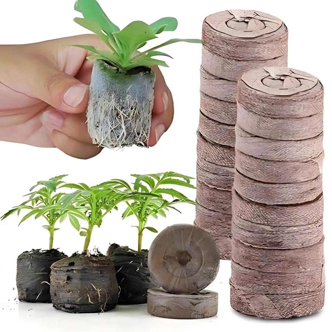 Coconut Fiber Peat Seedling Pellets – Starter for Seed Planting