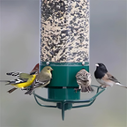 Metal Hanging Squirrel-Proof Bird Feeder for Gardens