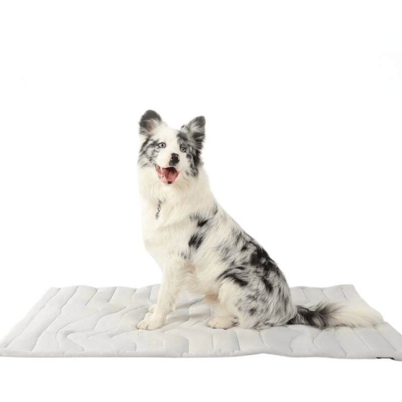 Self-cooling dog mat for hot summer days
