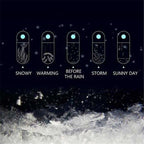 Storm Glass Weather Predicting Forecast Bottle Crystal Desktop Barometer with Wooden Base