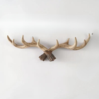 Vintage Antler Wall Hook Rustic Coat Rack