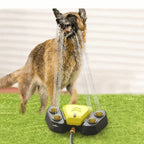 Multifunctional dog sprinkler with drinking fountain