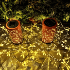 Sunny Glow for Evening Explorers
