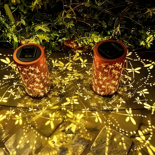 Sunny Glow for Evening Explorers
