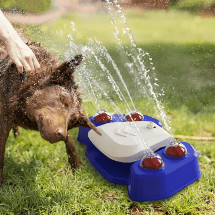 Multifunctional dog sprinkler with drinking fountain