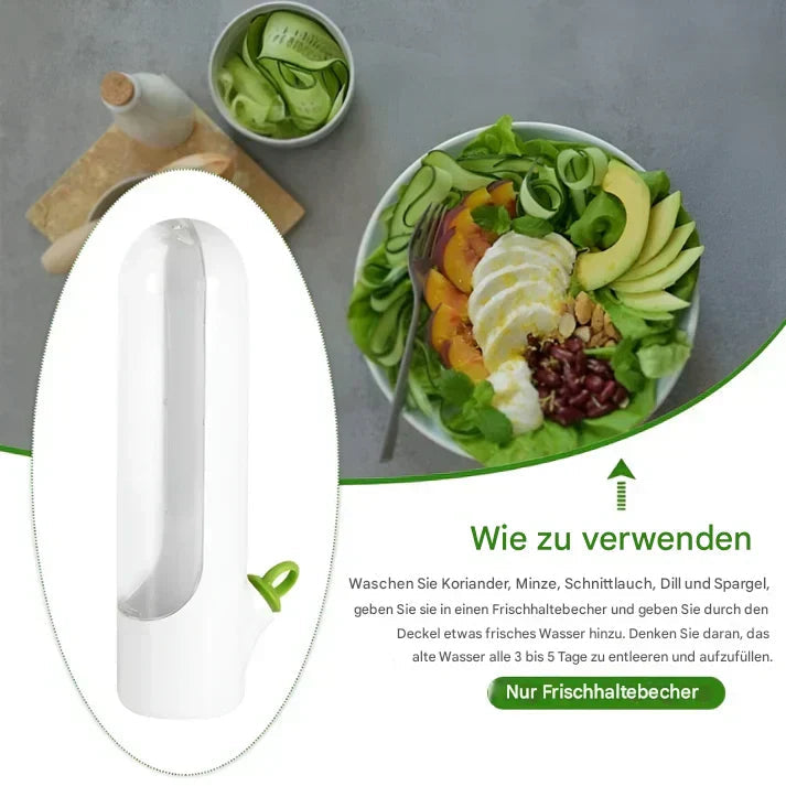 Airtight herb container for longer freshness & space-saving storage