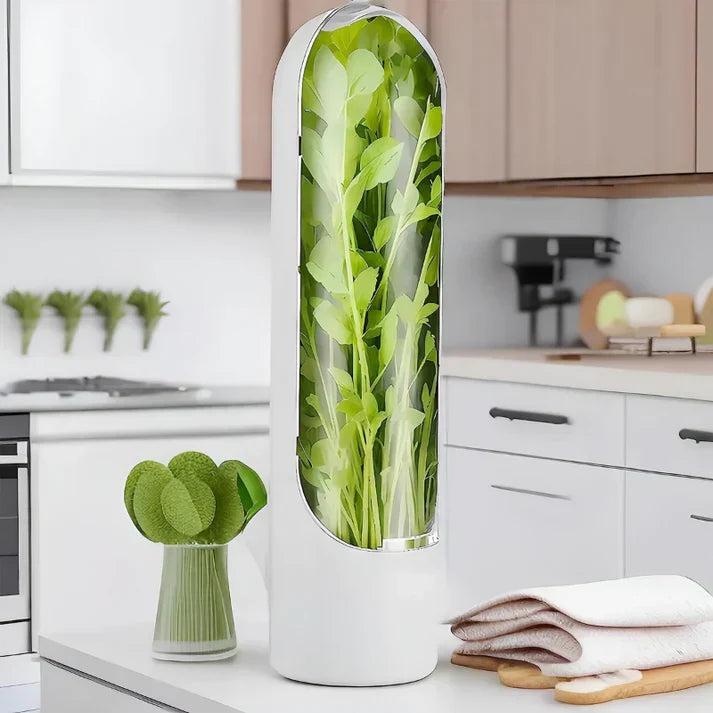 Airtight herb container for longer freshness & space-saving storage