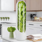 Airtight herb container for longer freshness & space-saving storage