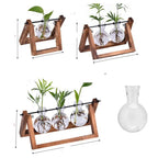 Modern hydroponic pot with a wooden tray