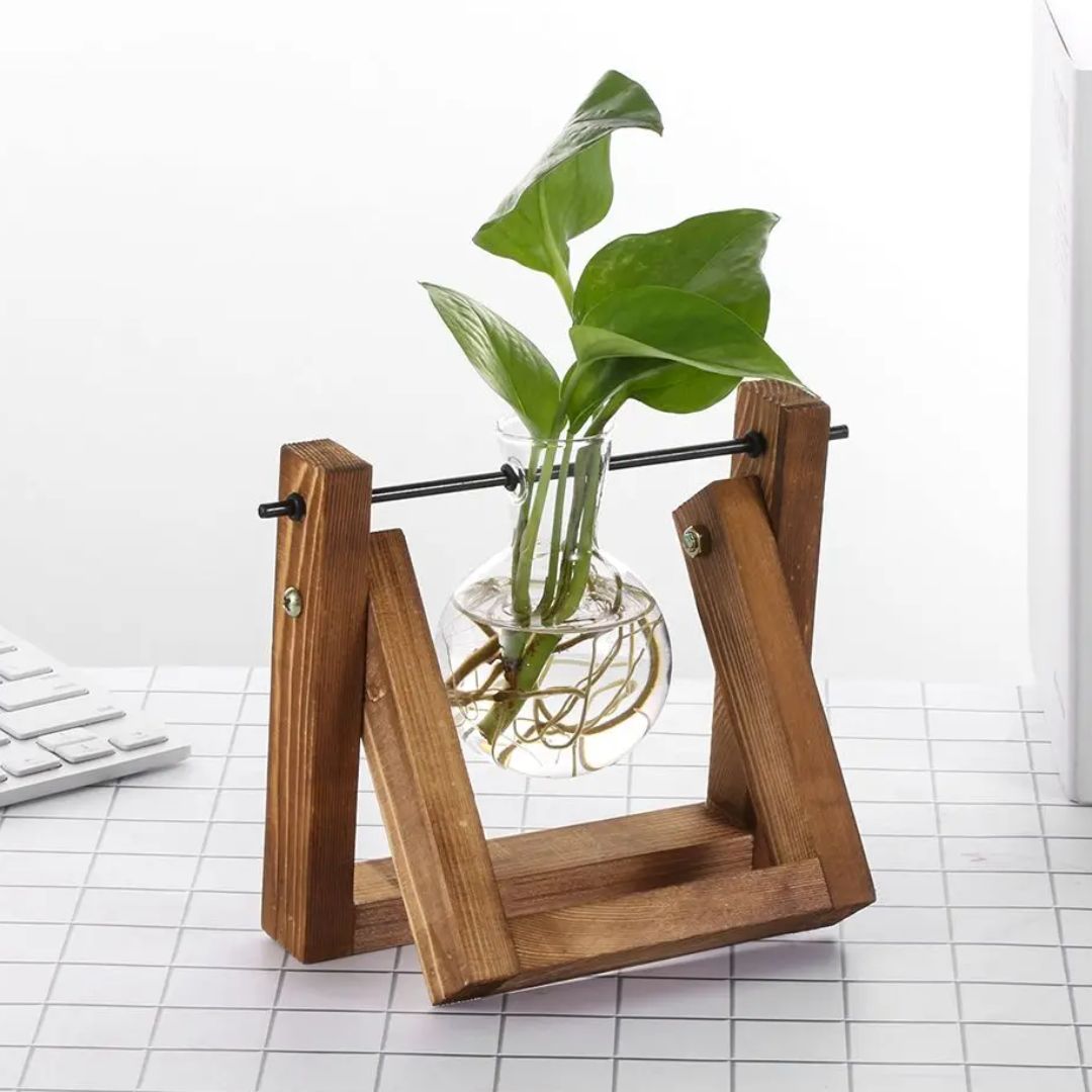 Modern hydroponic pot with a wooden tray