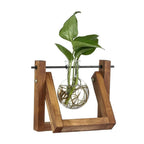 Modern hydroponic pot with a wooden tray