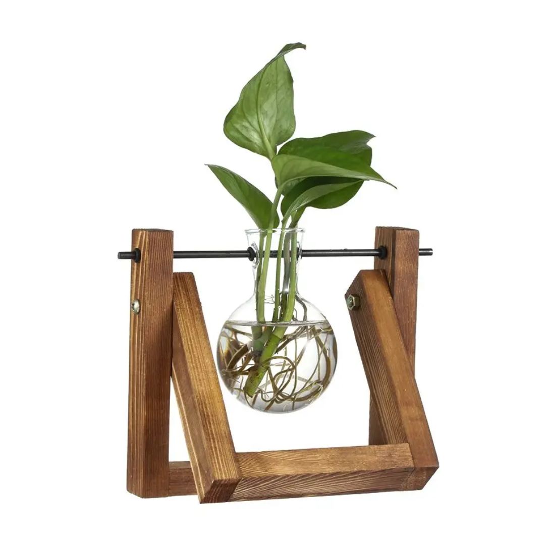 Modern hydroponic pot with a wooden tray