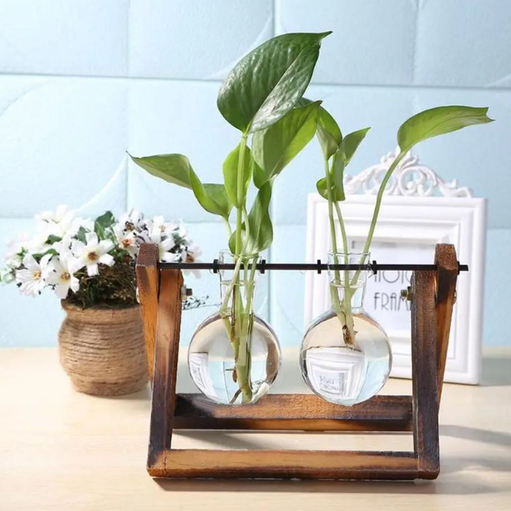 Modern hydroponic pot with a wooden tray