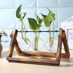 Modern hydroponic pot with a wooden tray