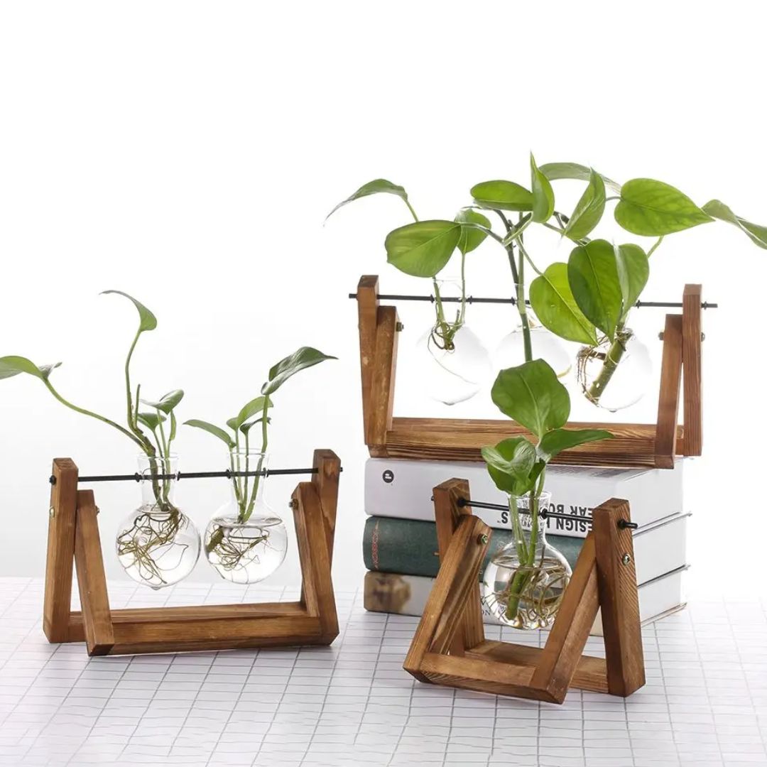 Modern hydroponic pot with a wooden tray