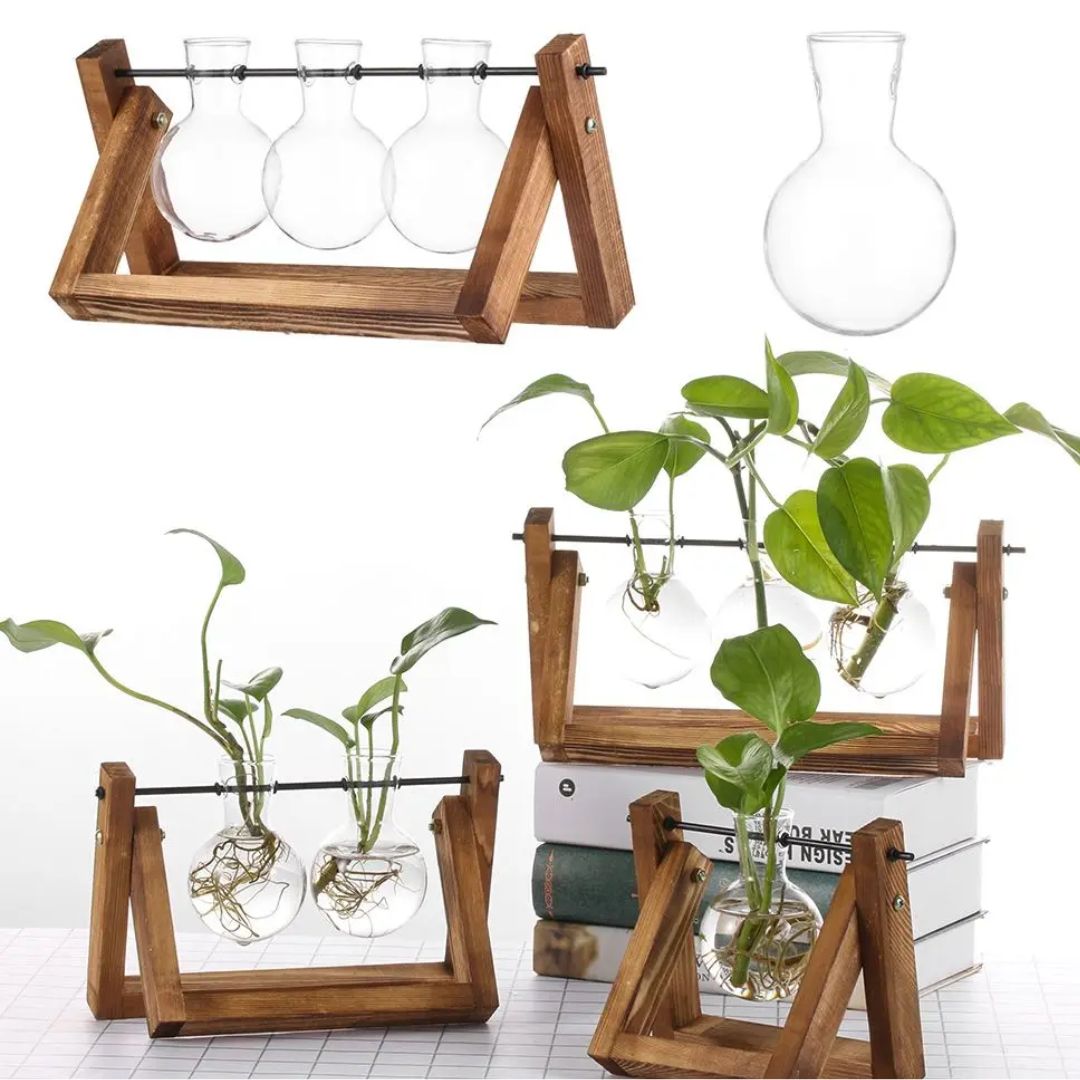 Modern hydroponic pot with a wooden tray