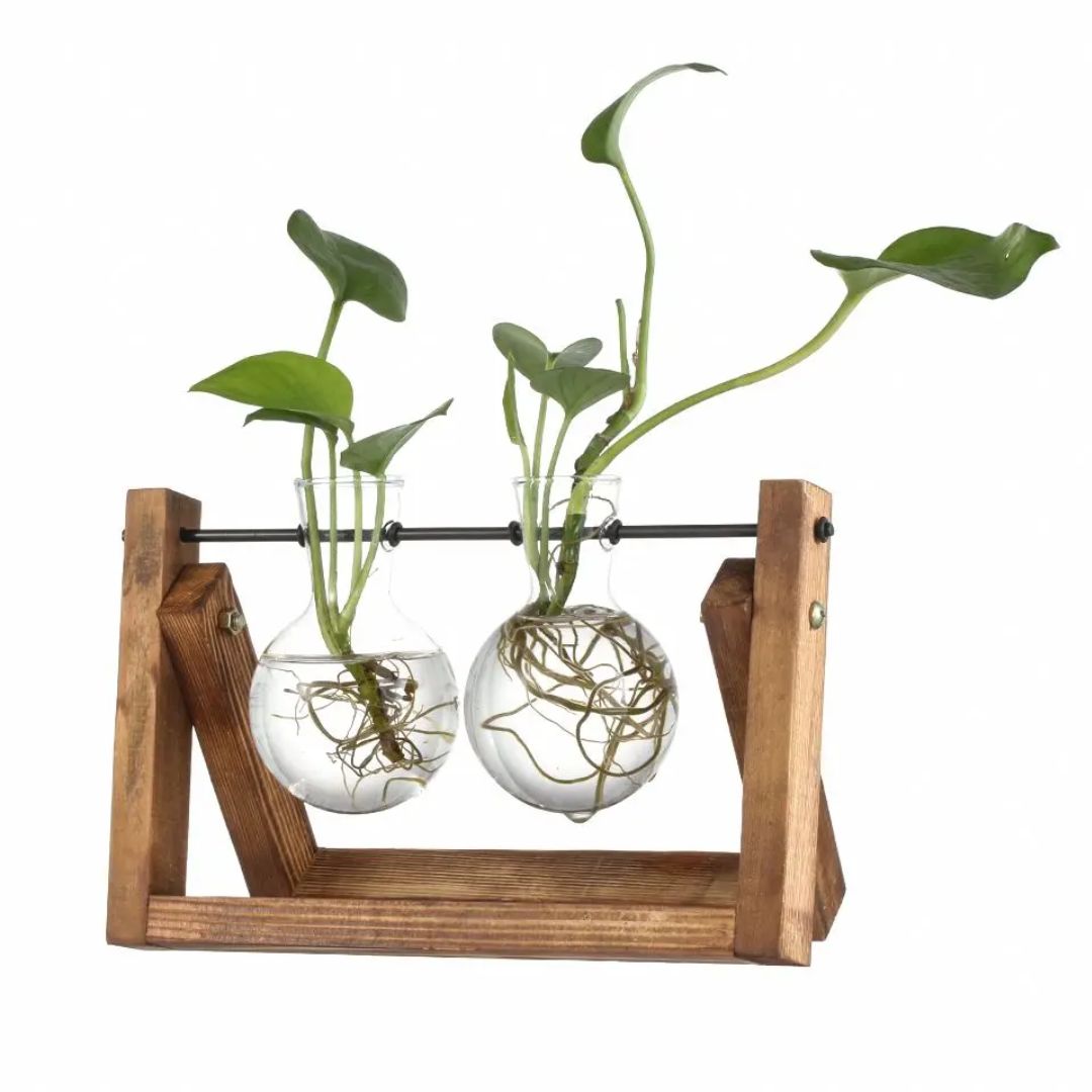 Modern hydroponic pot with a wooden tray