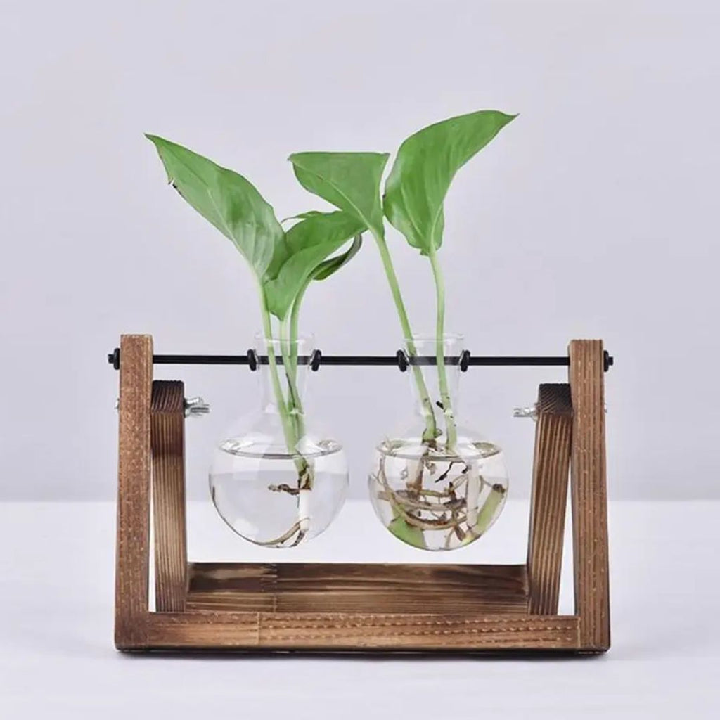 Modern hydroponic pot with a wooden tray