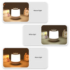 Eindhoven Callie Portable Desk Lamp