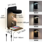 LED Wall Light