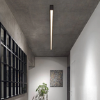 Modern Linear LED Ceiling Lighting