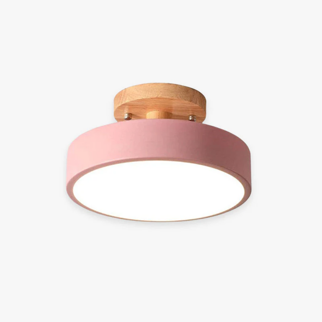 Stylish Modern LED Ceiling Lamp