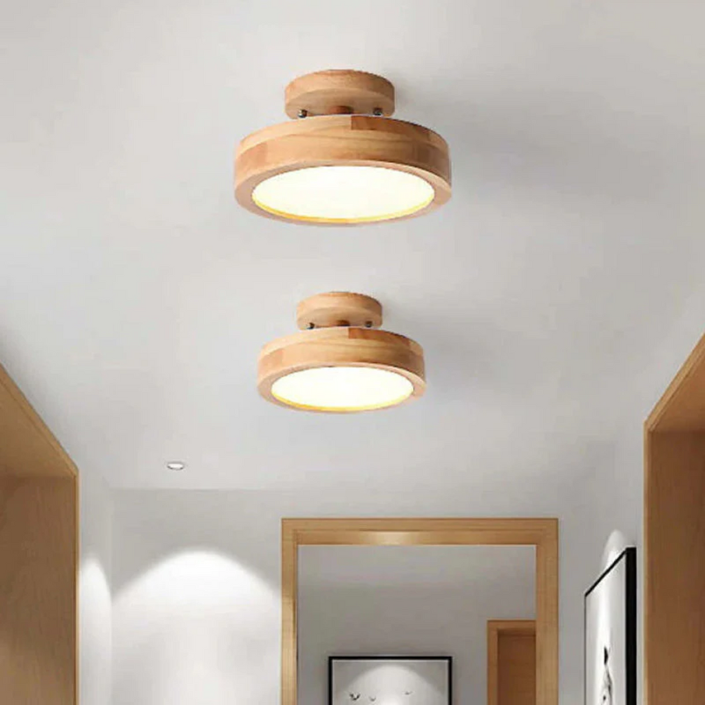 Stylish Modern LED Ceiling Lamp