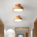 Stylish Modern LED Ceiling Lamp