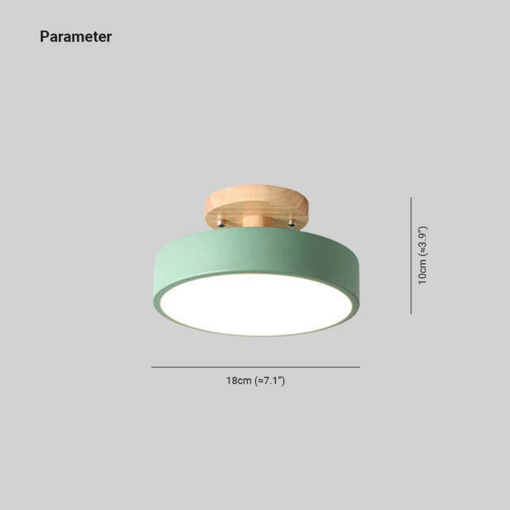 Stylish Modern LED Ceiling Lamp