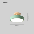 Stylish Modern LED Ceiling Lamp