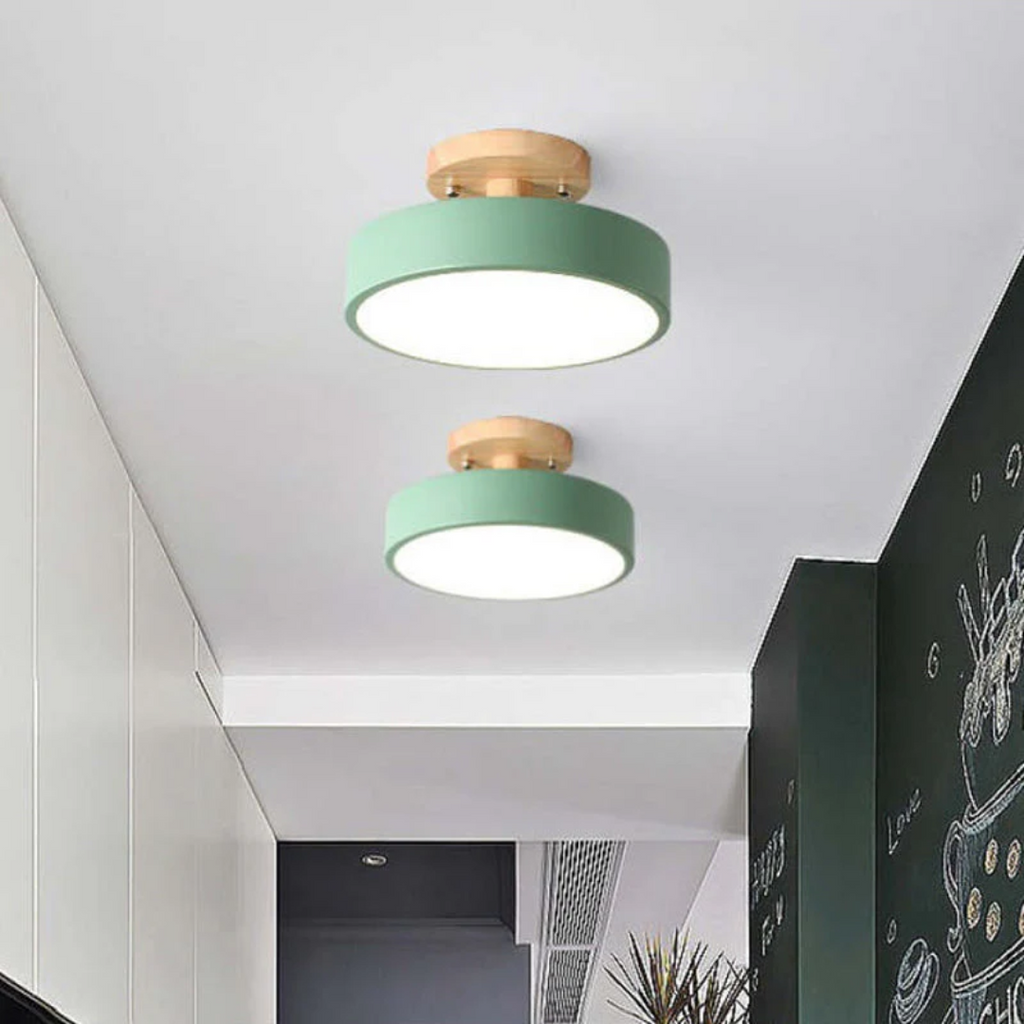 Stylish Modern LED Ceiling Lamp