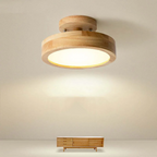 Stylish Modern LED Ceiling Lamp