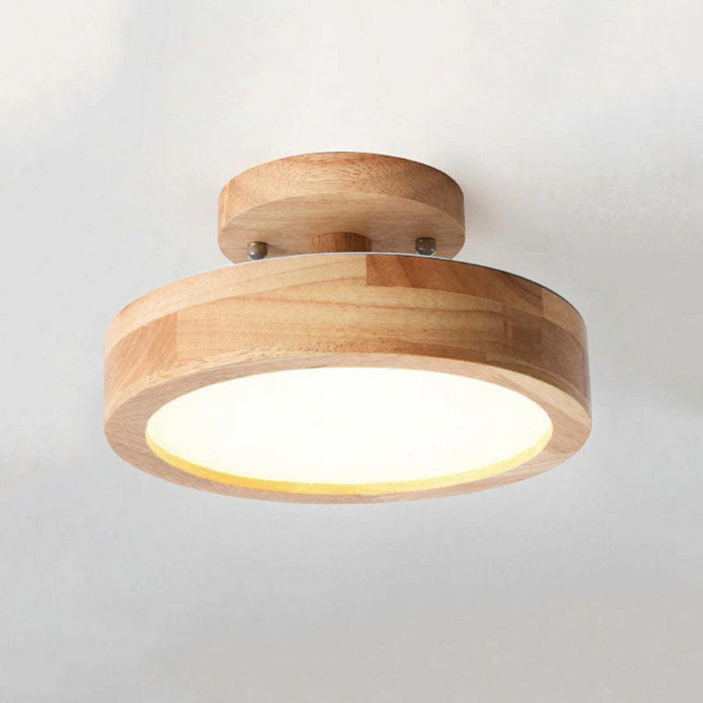 Stylish Modern LED Ceiling Lamp