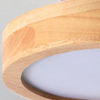 Stylish Modern LED Ceiling Lamp