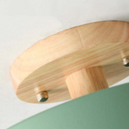 Stylish Modern LED Ceiling Lamp