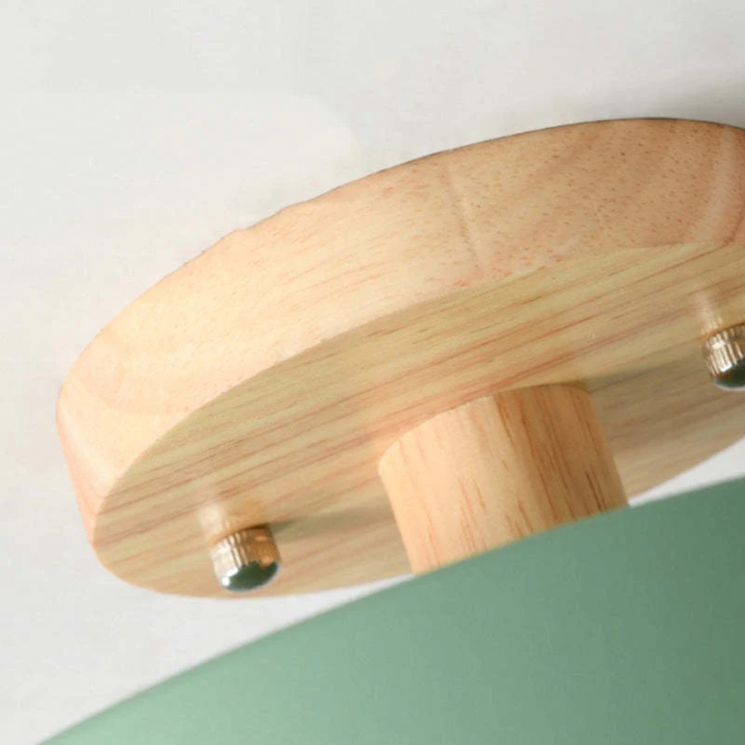 Stylish Modern LED Ceiling Lamp
