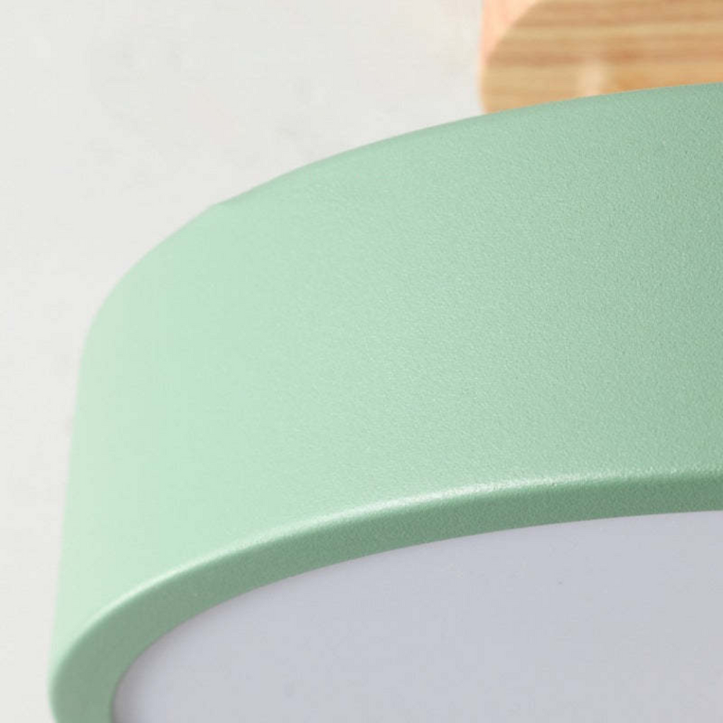 Stylish Modern LED Ceiling Lamp