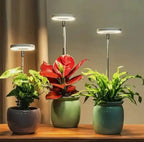 Adjustable LED Plant Lamp – Optimal Light for Healthy Growth