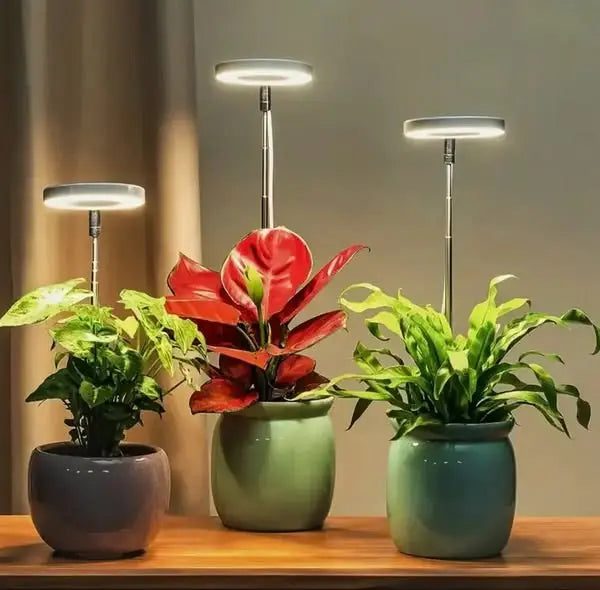 Adjustable LED Plant Lamp – Optimal Light for Healthy Growth