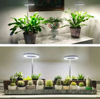 Adjustable LED Plant Lamp – Optimal Light for Healthy Growth