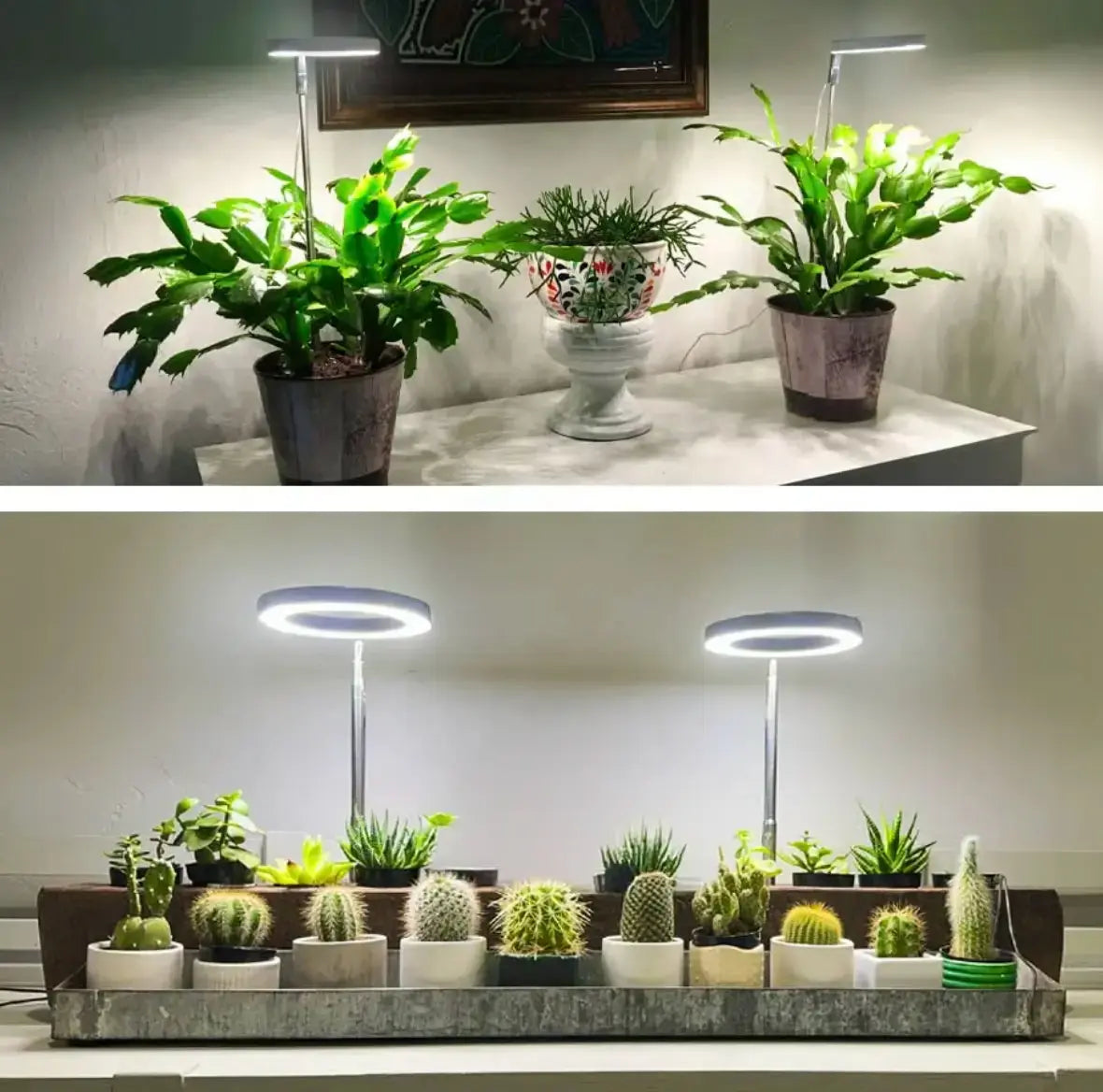 Adjustable LED Plant Lamp – Optimal Light for Healthy Growth