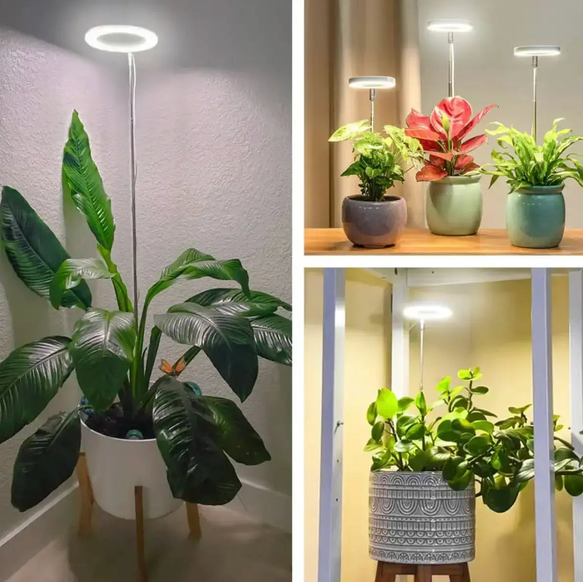 Adjustable LED Plant Lamp – Optimal Light for Healthy Growth