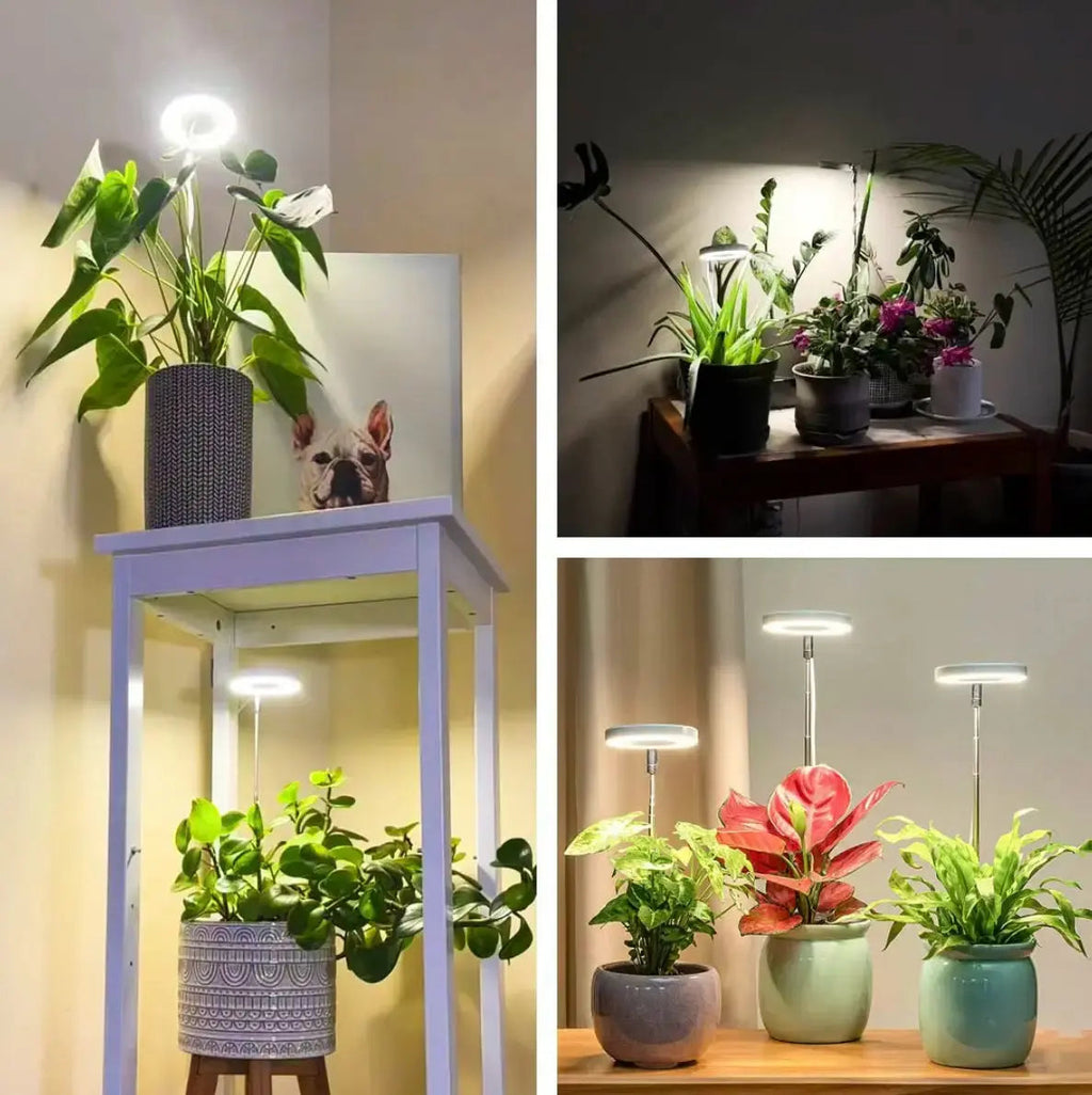 Adjustable LED Plant Lamp – Optimal Light for Healthy Growth