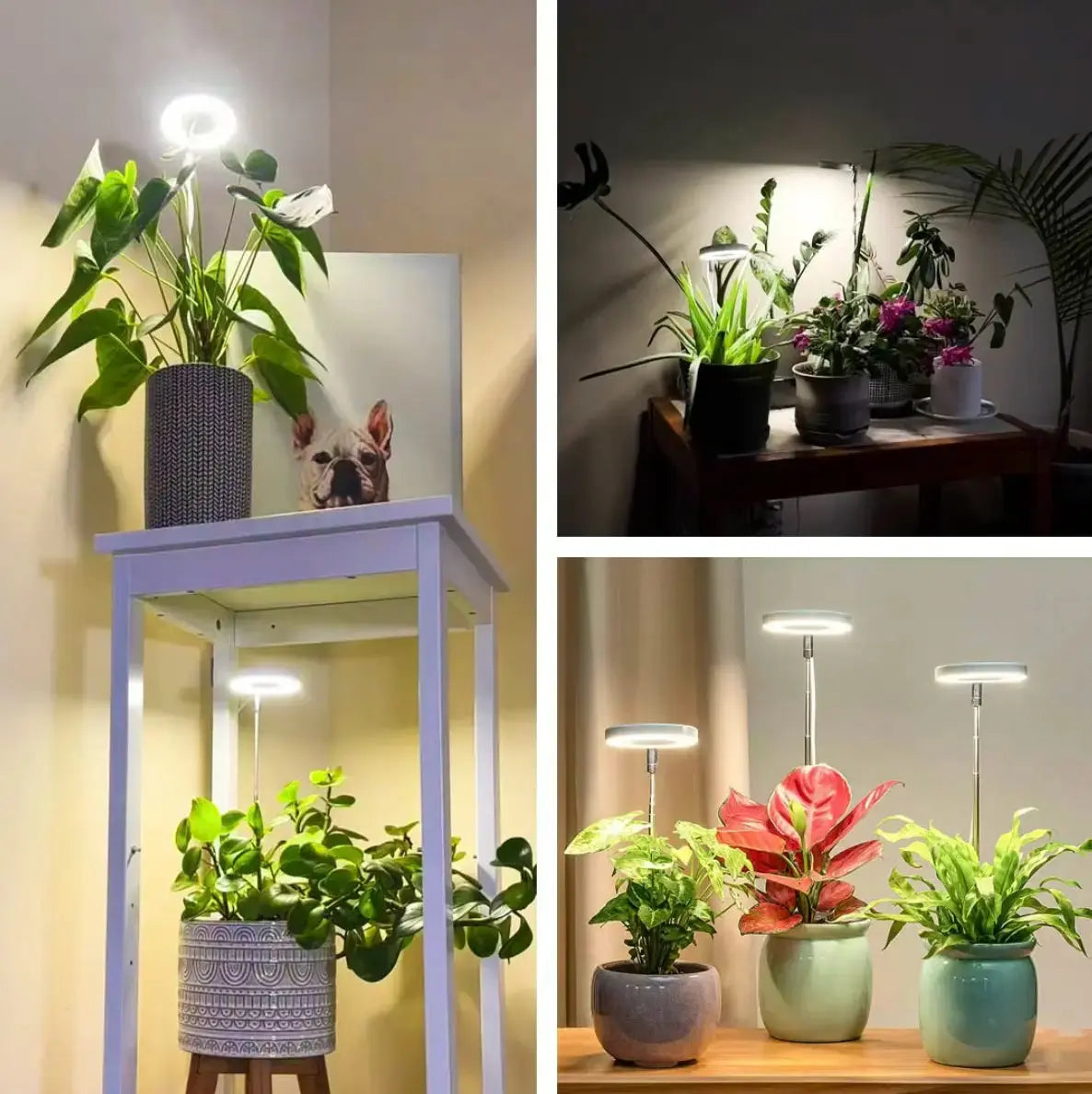 Adjustable LED Plant Lamp – Optimal Light for Healthy Growth