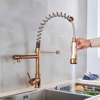 SpringTwin - Advanced Dual Outlet Tap
