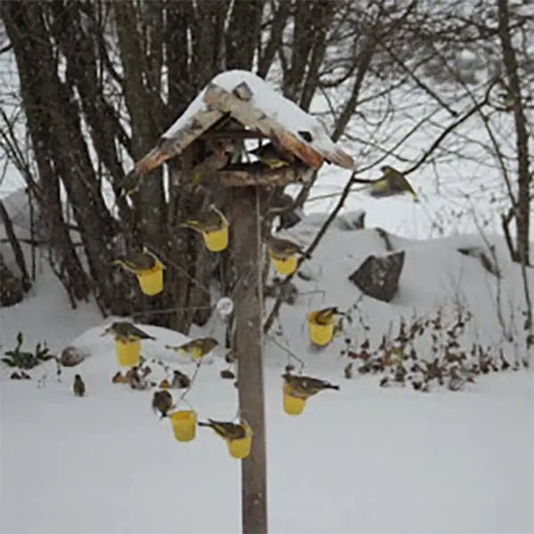 Bird feeder station in ferris wheel design