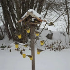 Bird feeder station in ferris wheel design