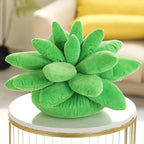 Succulent Dream - Natural Plenitude - Plush Comfort - Fine Elegance