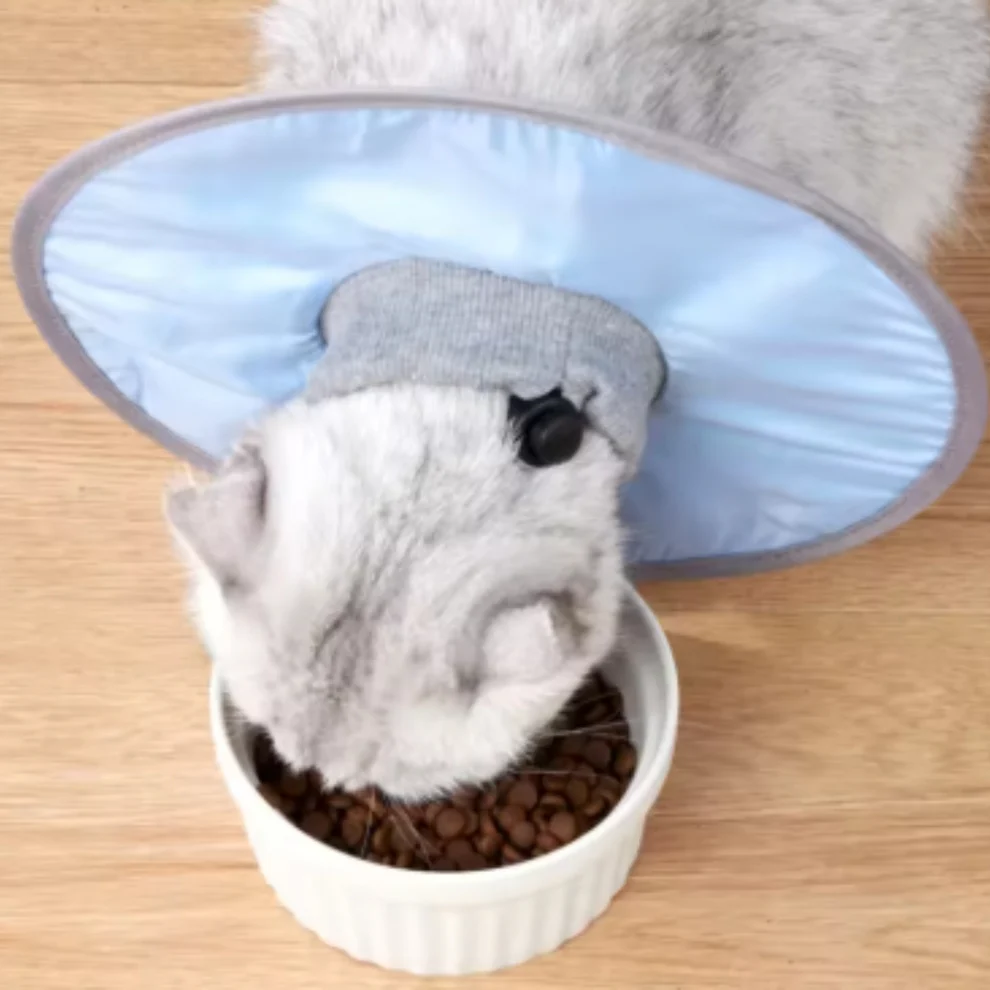 Cat protection collar soft & comfortable