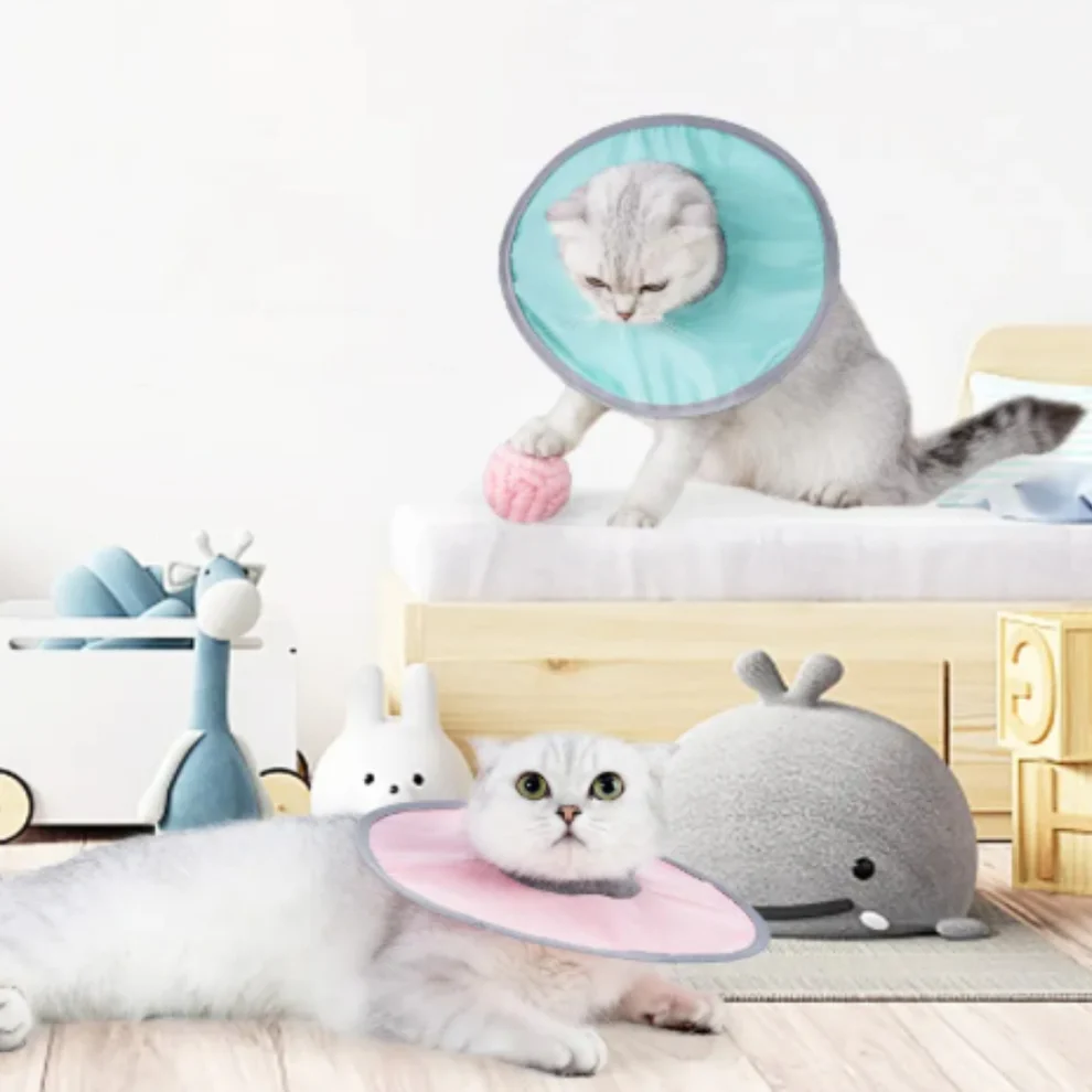 Cat protection collar soft & comfortable